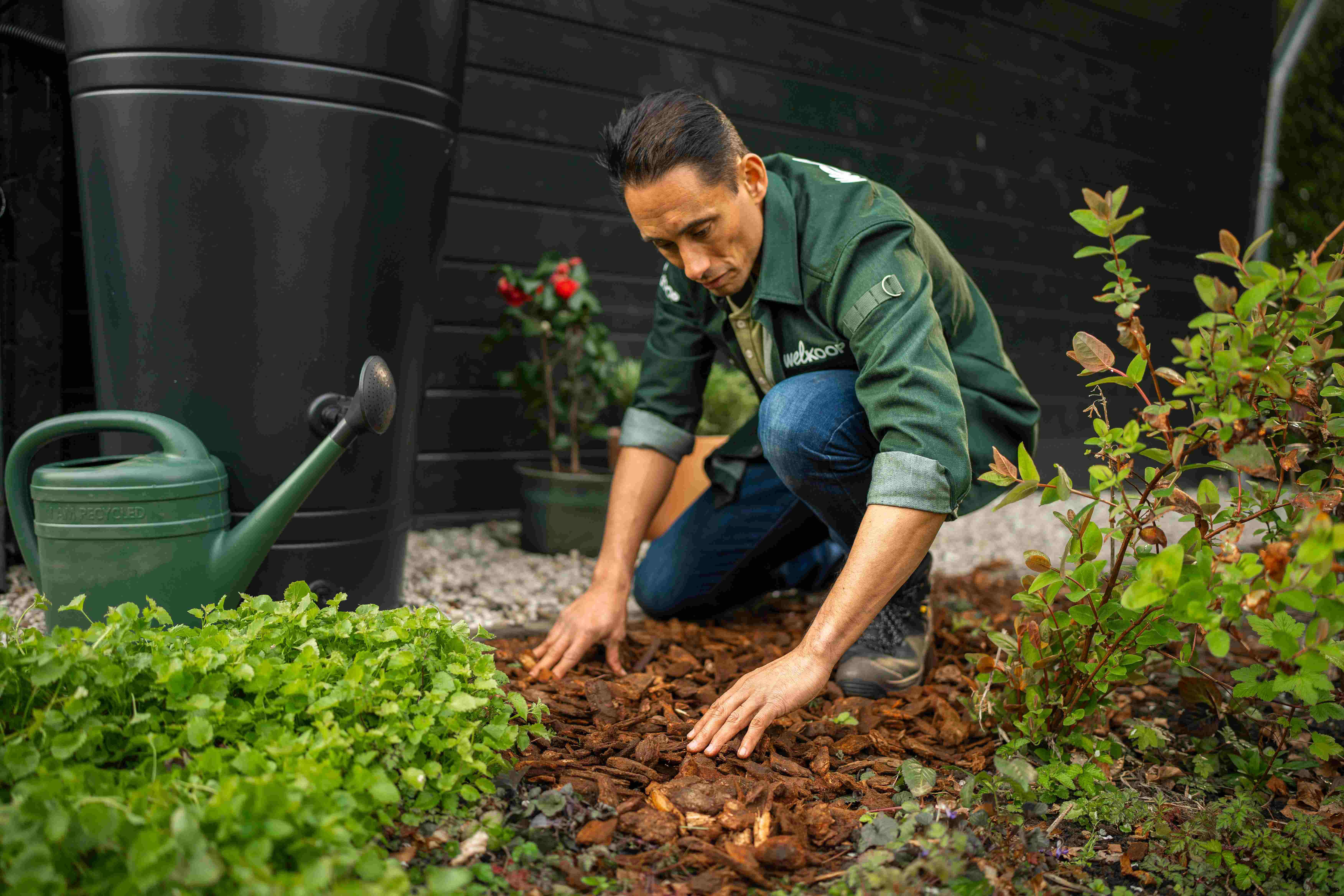 Welke bodembedekking voor in je tuin - Welkoop
