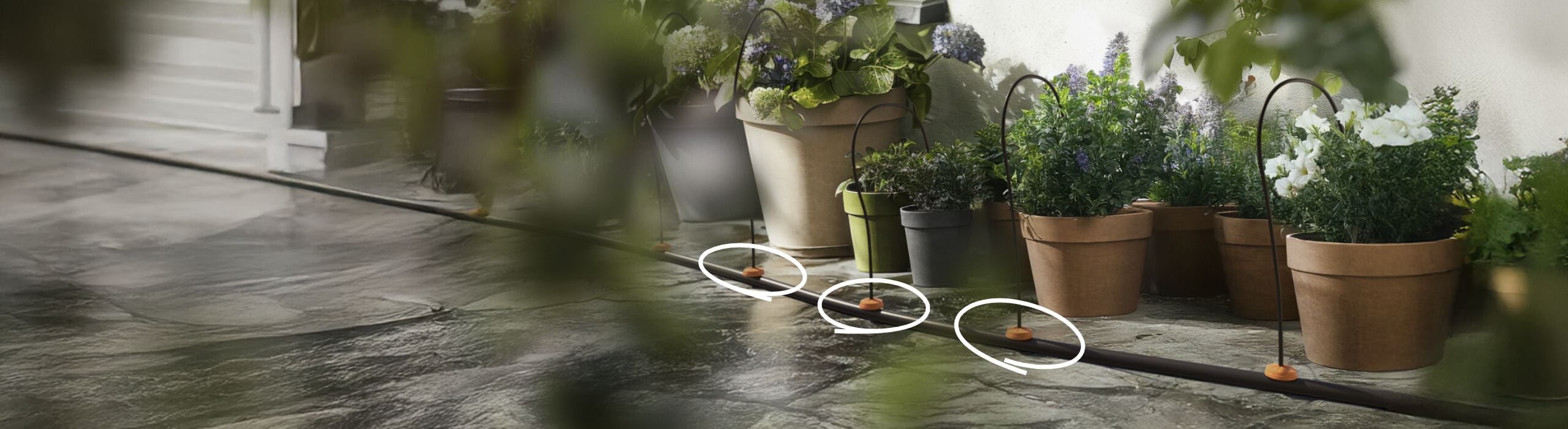 Tuin automatisch water geven. Zo doe je dat - Welkoop