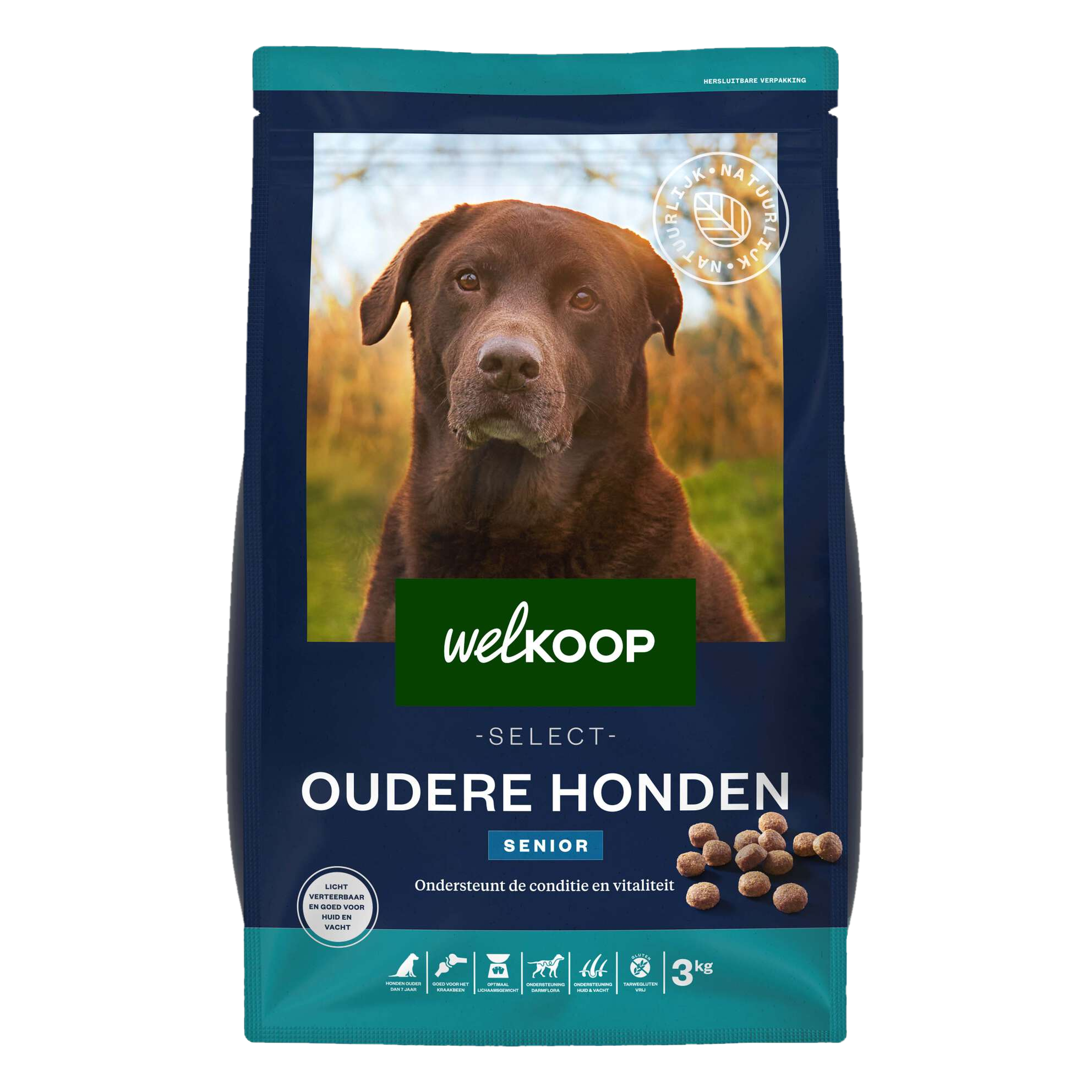 senior brokken oudere honden welkoop