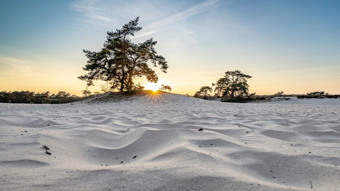 soesterduinen utrecht losloopgebieden welkoop