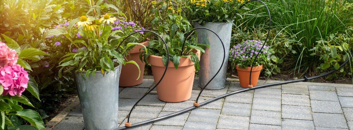 Planten water geven tijdens vakantie - Welkoop