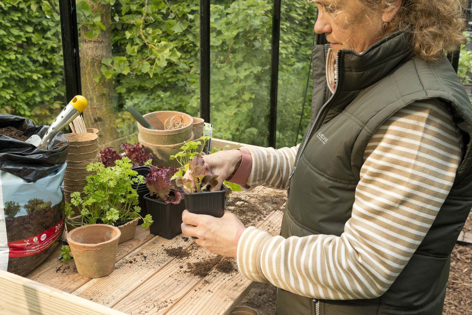 Voorzaaien koude kas april