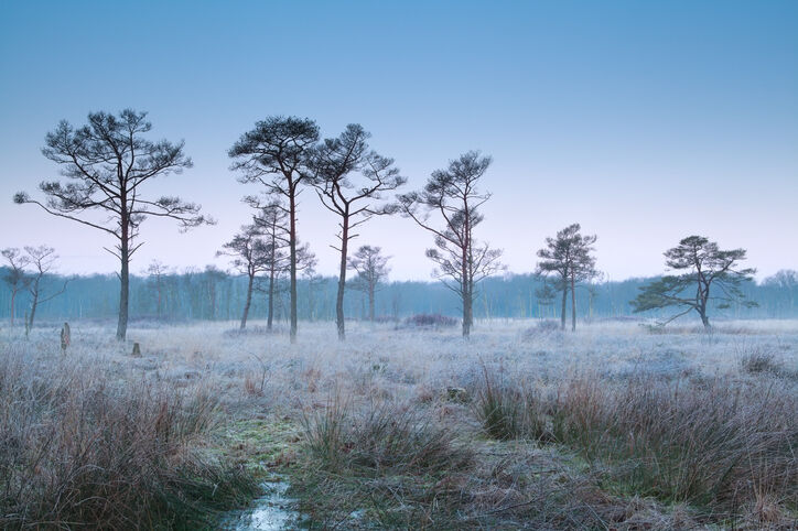 drenthe