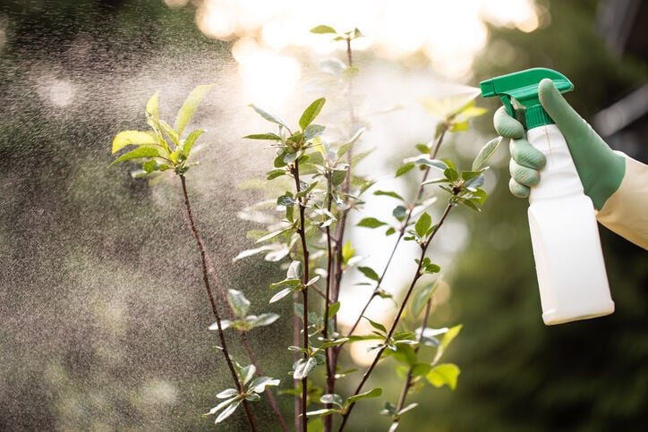 Alles over gewasbescherming