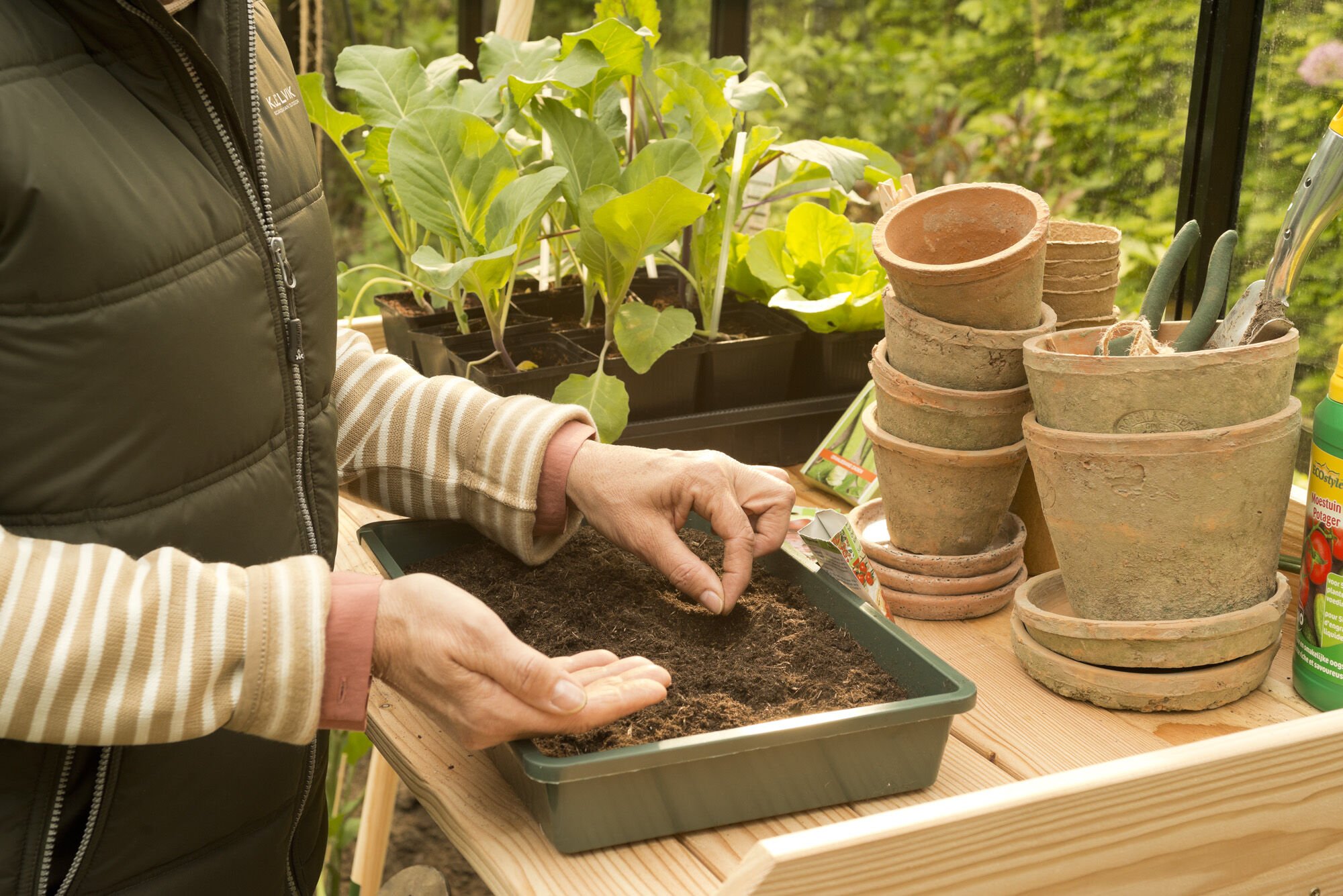 Zaaien moestuinkalender