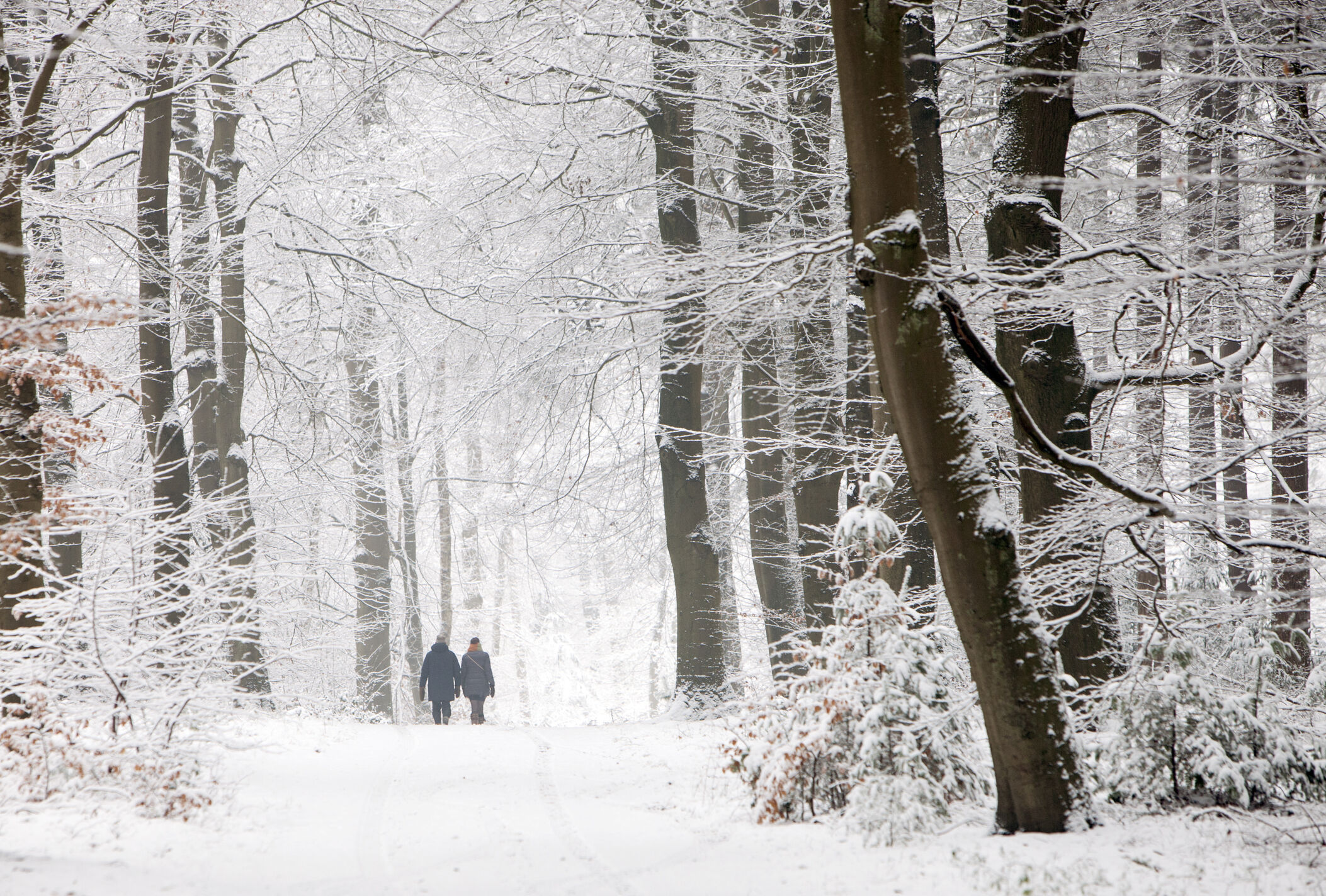 winterwandeling
