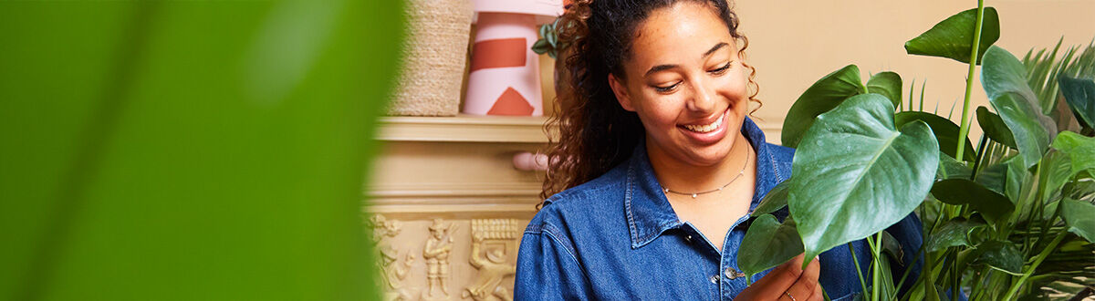 [paste advice page name here]