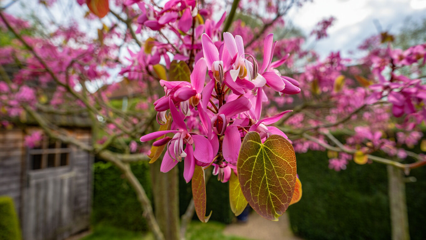 [paste advice page name here]