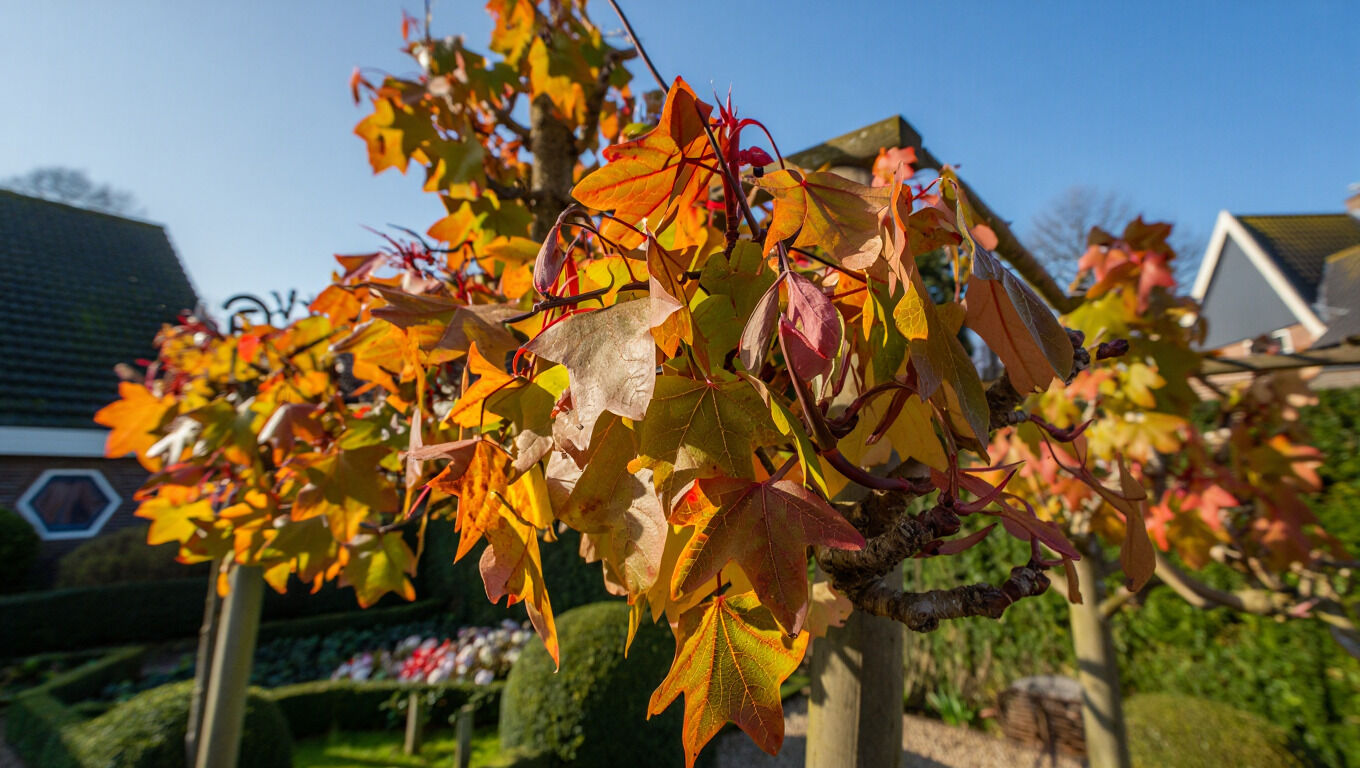 [paste advice page name here]