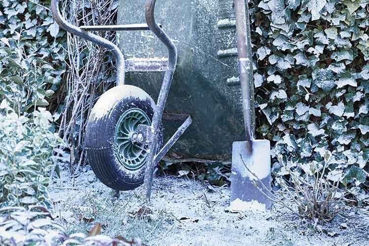 tuinkalender januari welkoop advies