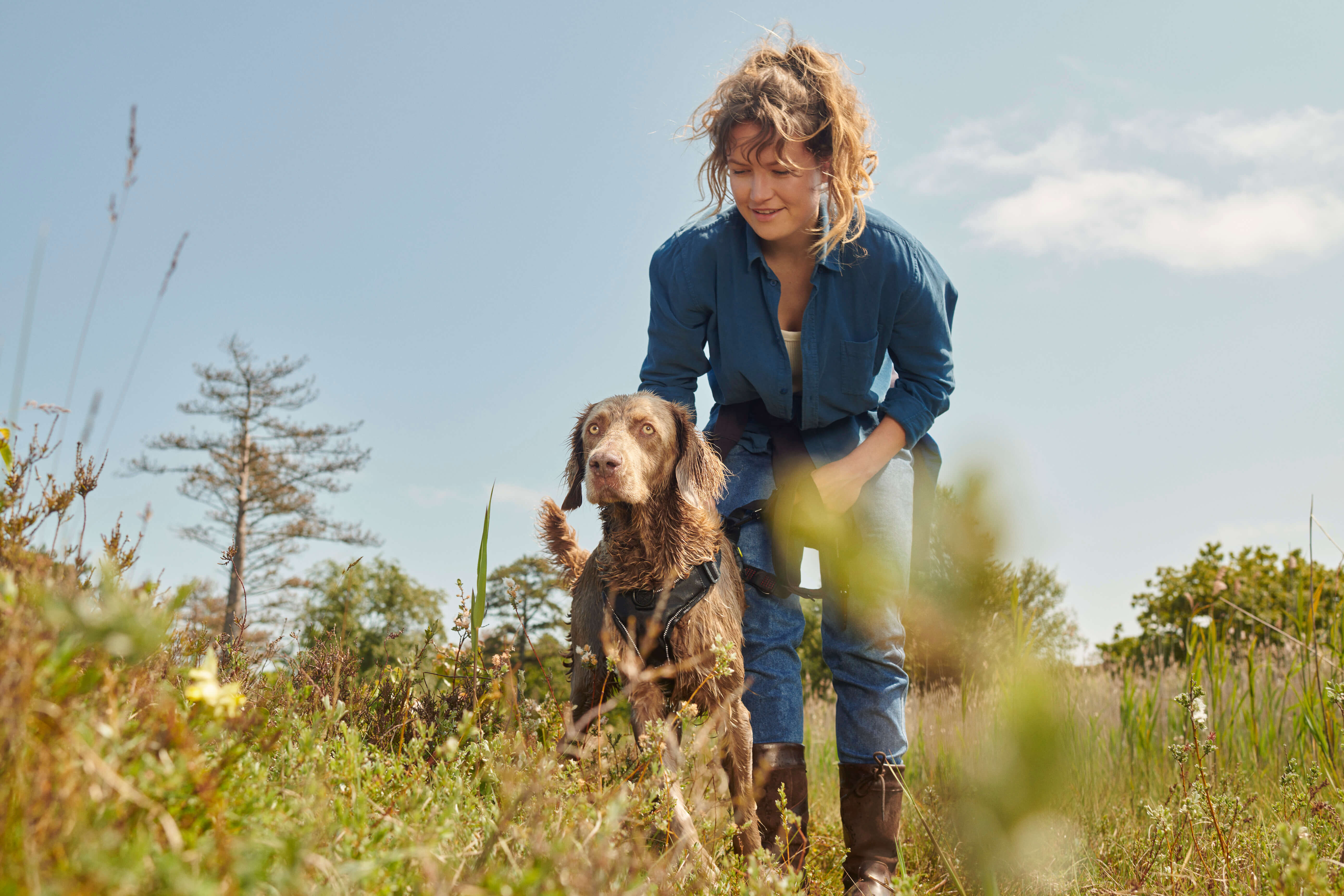 header verveling bij je hond voorkomen na vakantie