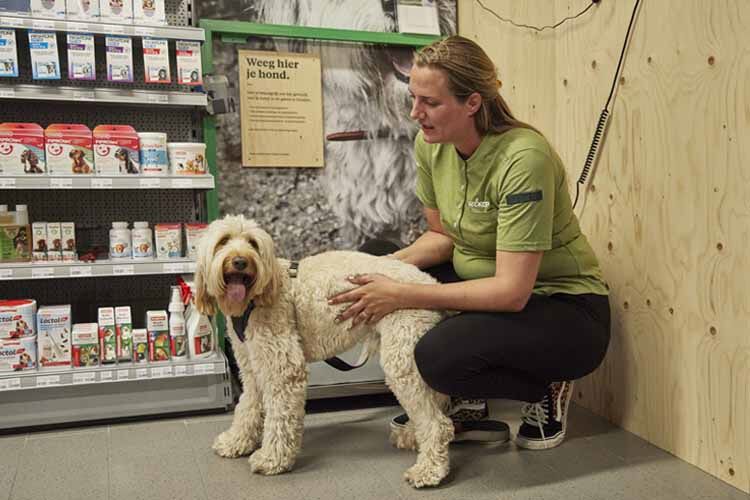 Wat is een gezond gewicht voor een hond? - Welkoop