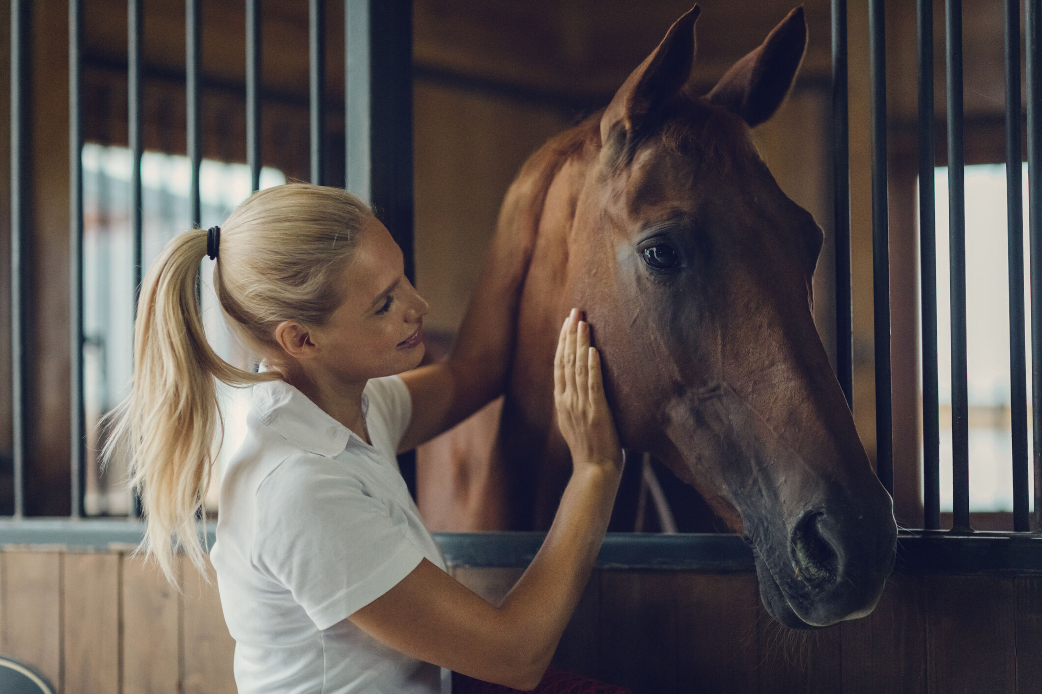 paard gezond - advies welkoop