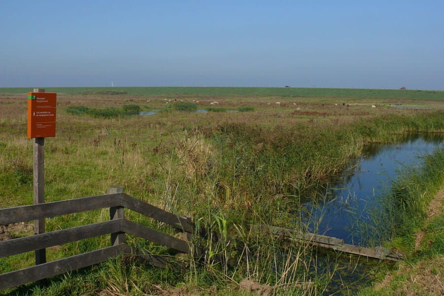 Roggebotzand losloopgebied flevoland