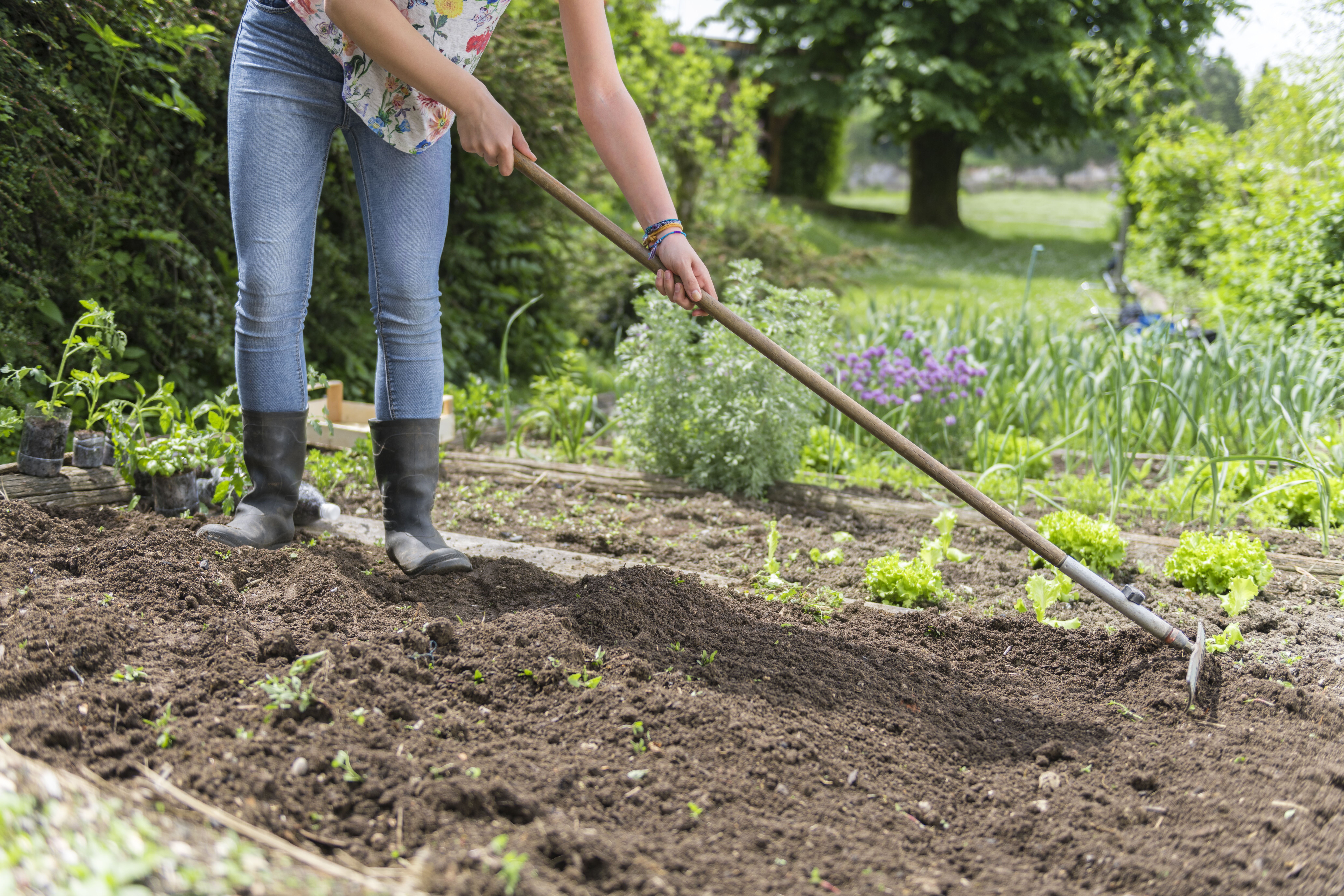 muizen in moestuin welkoop