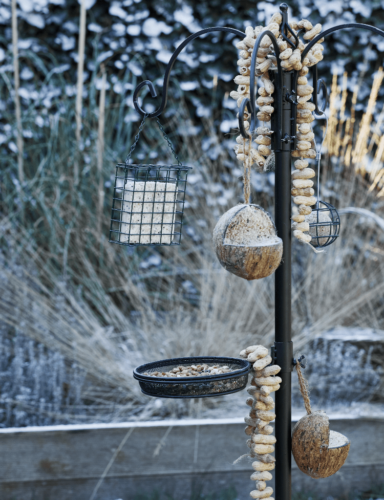 vogelvoer winter tuin welkoop