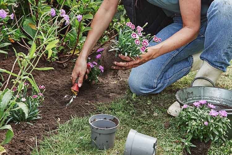 tuinkalender april welkoop