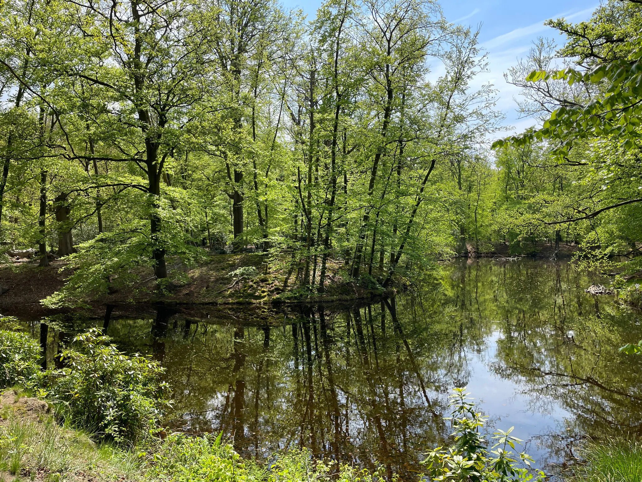 spanderwoud noord holland losloopgebieden welkoop