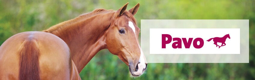 Pavo paardenvoer Pavo paardenvoer