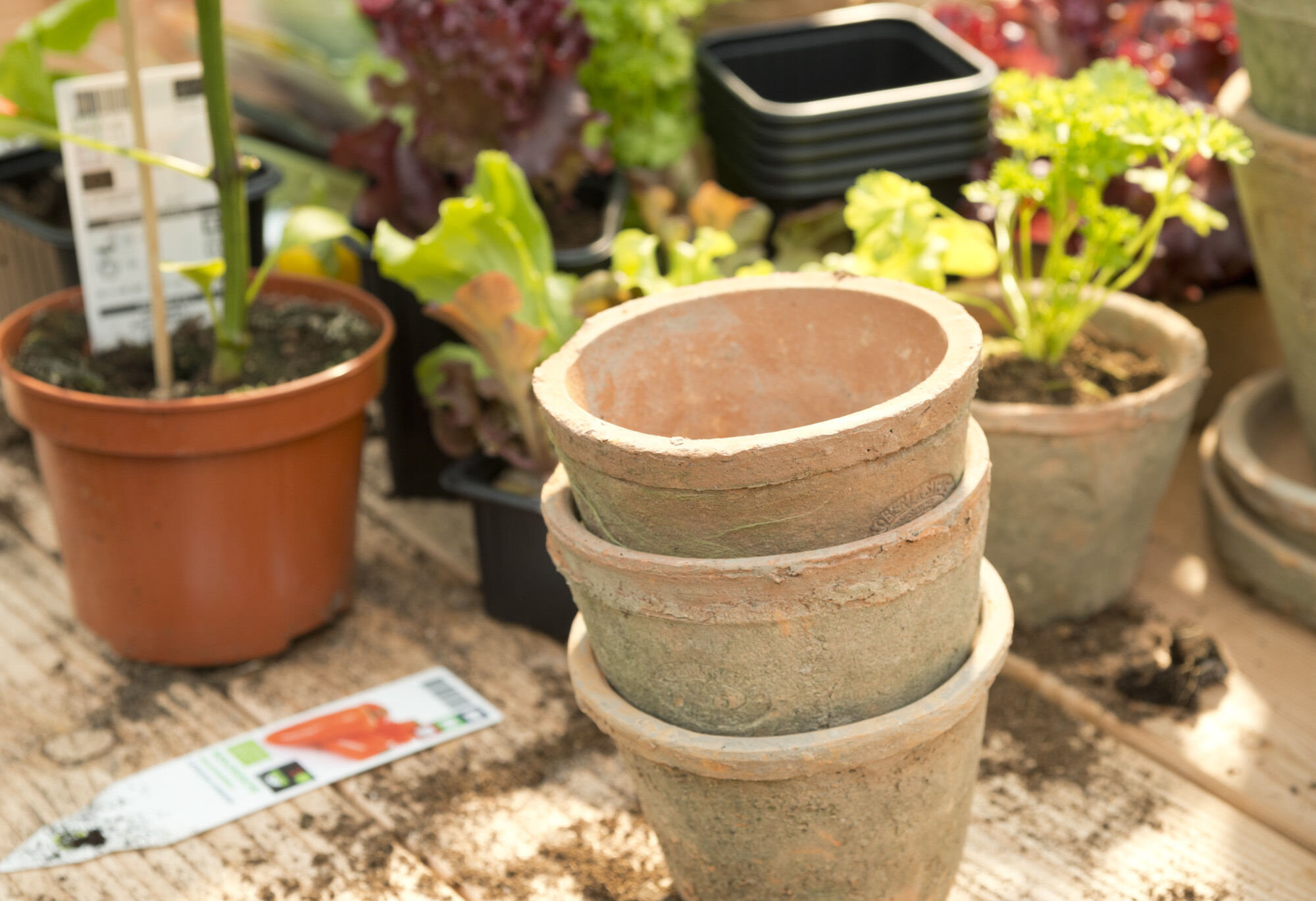 Advies in de winkel - moestuin