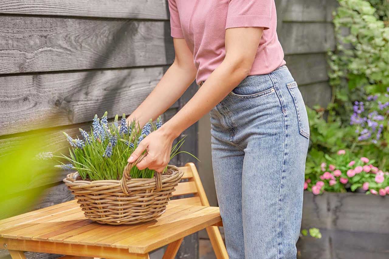 Hoe en wanneer bloembollen planten? - Welkoop