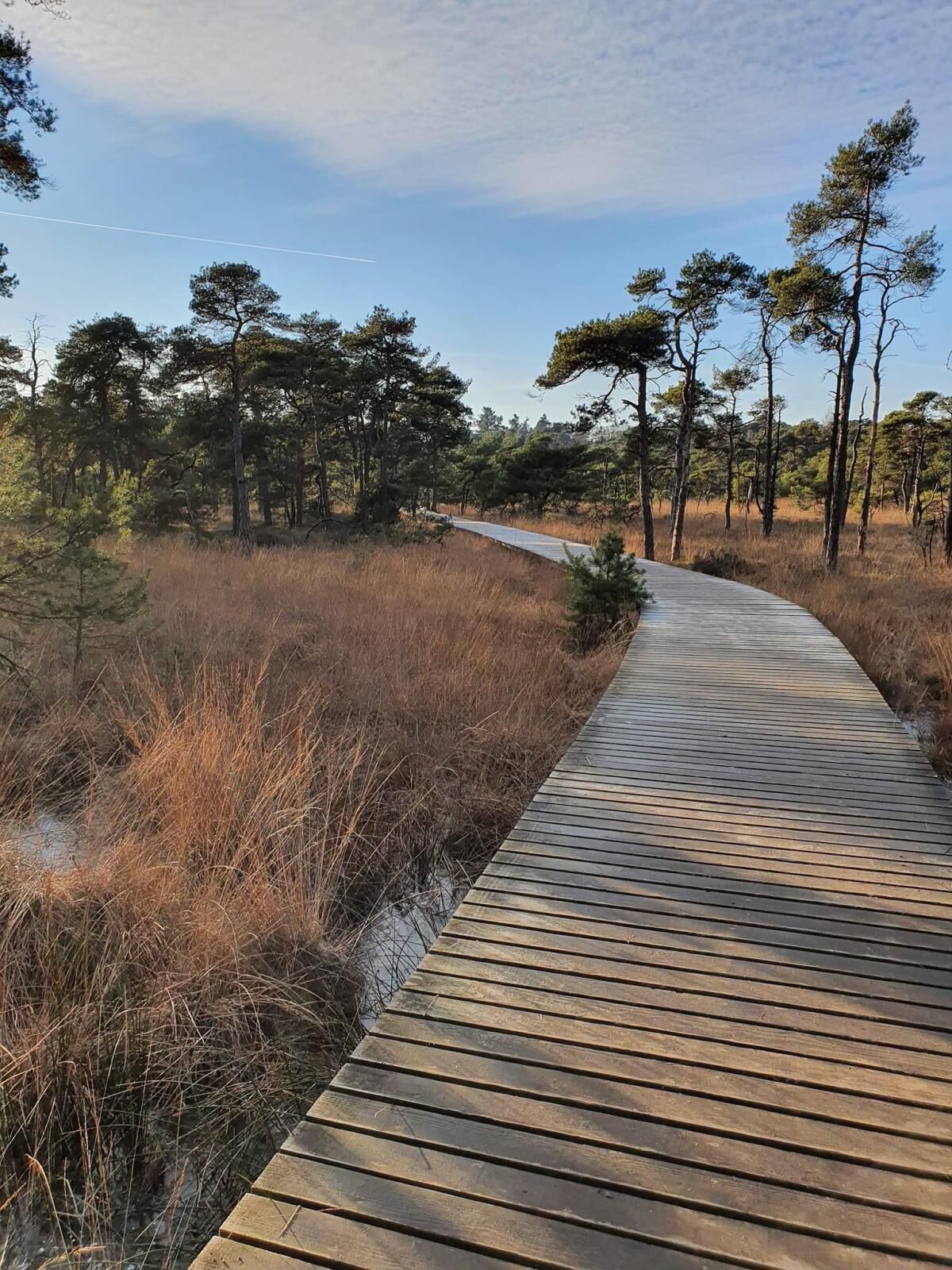 Bergherbos losloopgebied gelderland welkoop