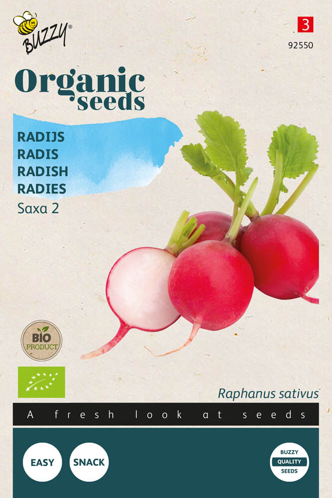 Buzzy Radijs Raphanus sativus Saxa 2 - Radijs Buzzy Radijs Raphanus sativus Saxa 2 - Radijs