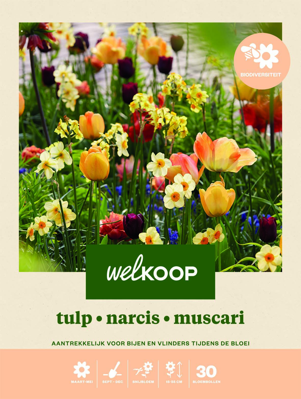 Welkoop Tulp Narcis Blauwe druifjes Biodiversiteit - Bloembollen Welkoop Tulp Narcis Blauwe druifjes Biodiversiteit - Bloembollen