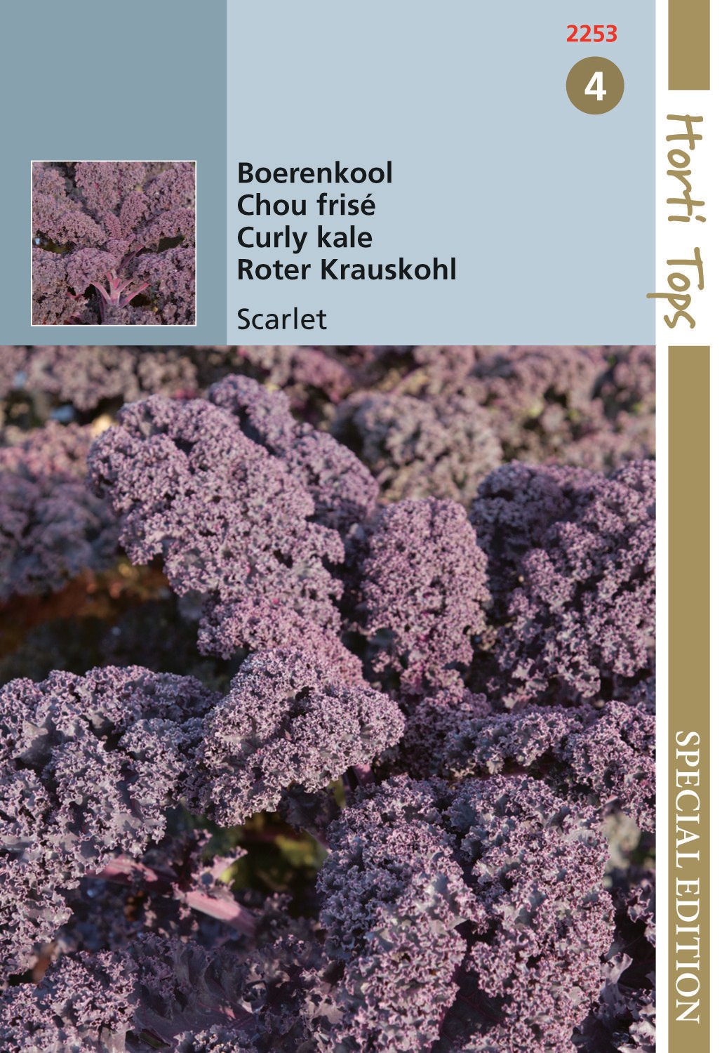 Hortitops Boerenkool Paars Scarlet Brassica oleracea - Groentezaden