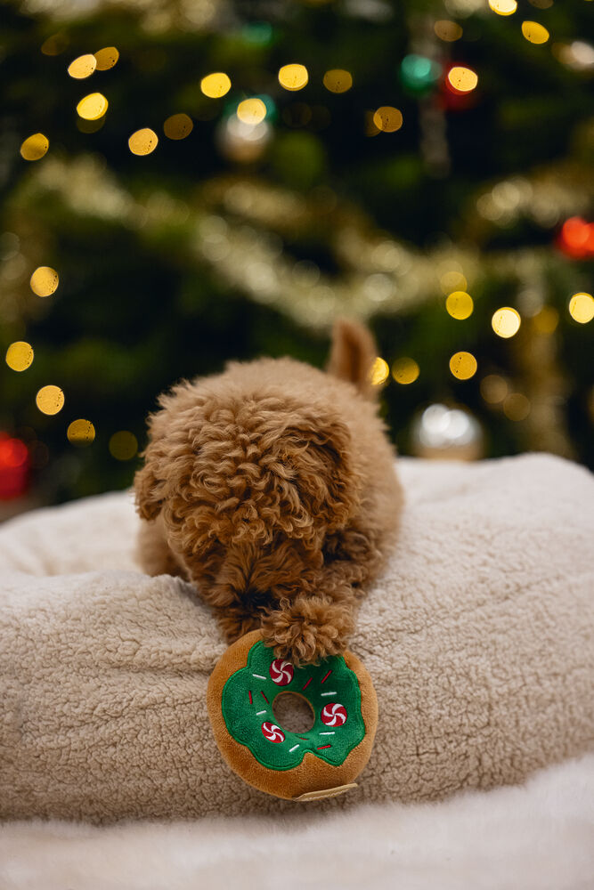 Beeztees Kerst Donut Knuffel - Hondenspeelgoed - assorti