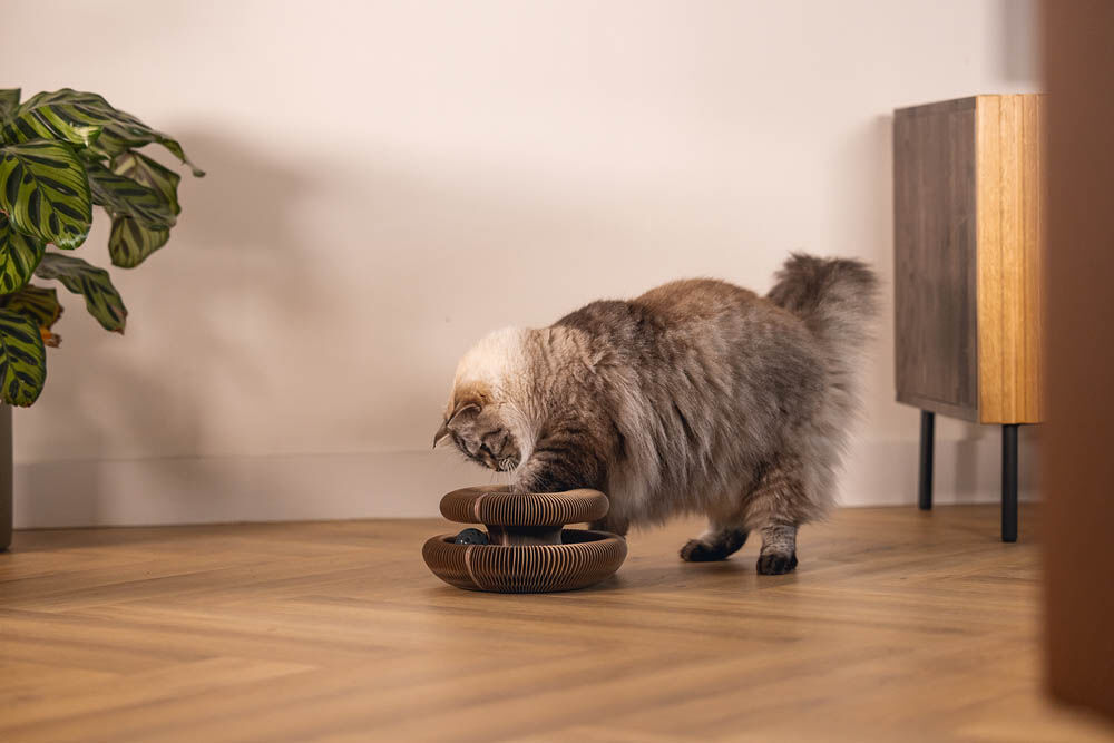 Beeztees Loet - Krabspeelgoed - Roze - 1x24x1 cm