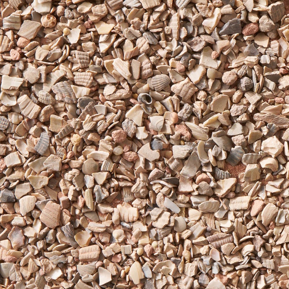 Welkoop Kippengrit - Kippen Supplement - 10 Kilogram