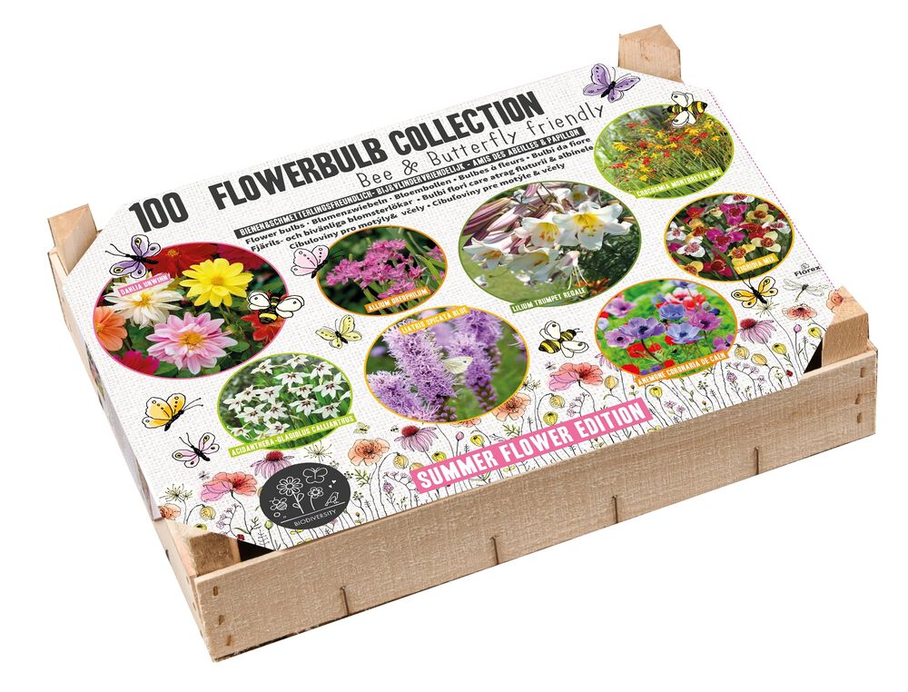 Florex Big Box Biodiversiteit - Bloembollen