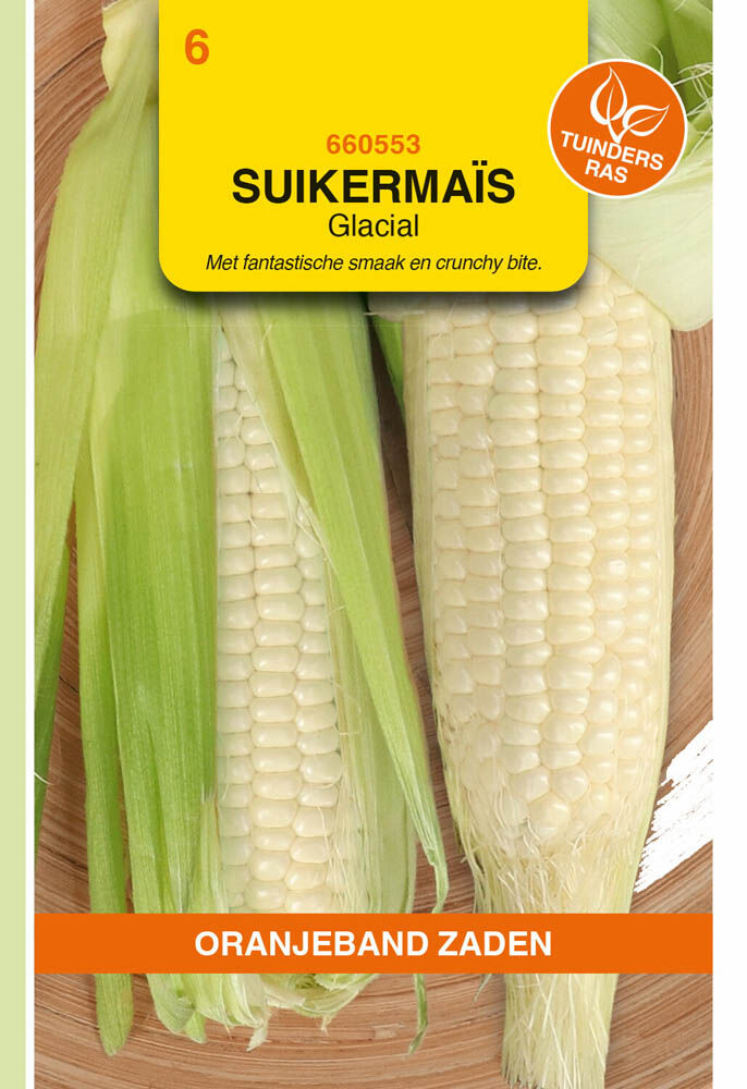 Oranjeband zaden Suikermais  Glacial - Groentezaden
