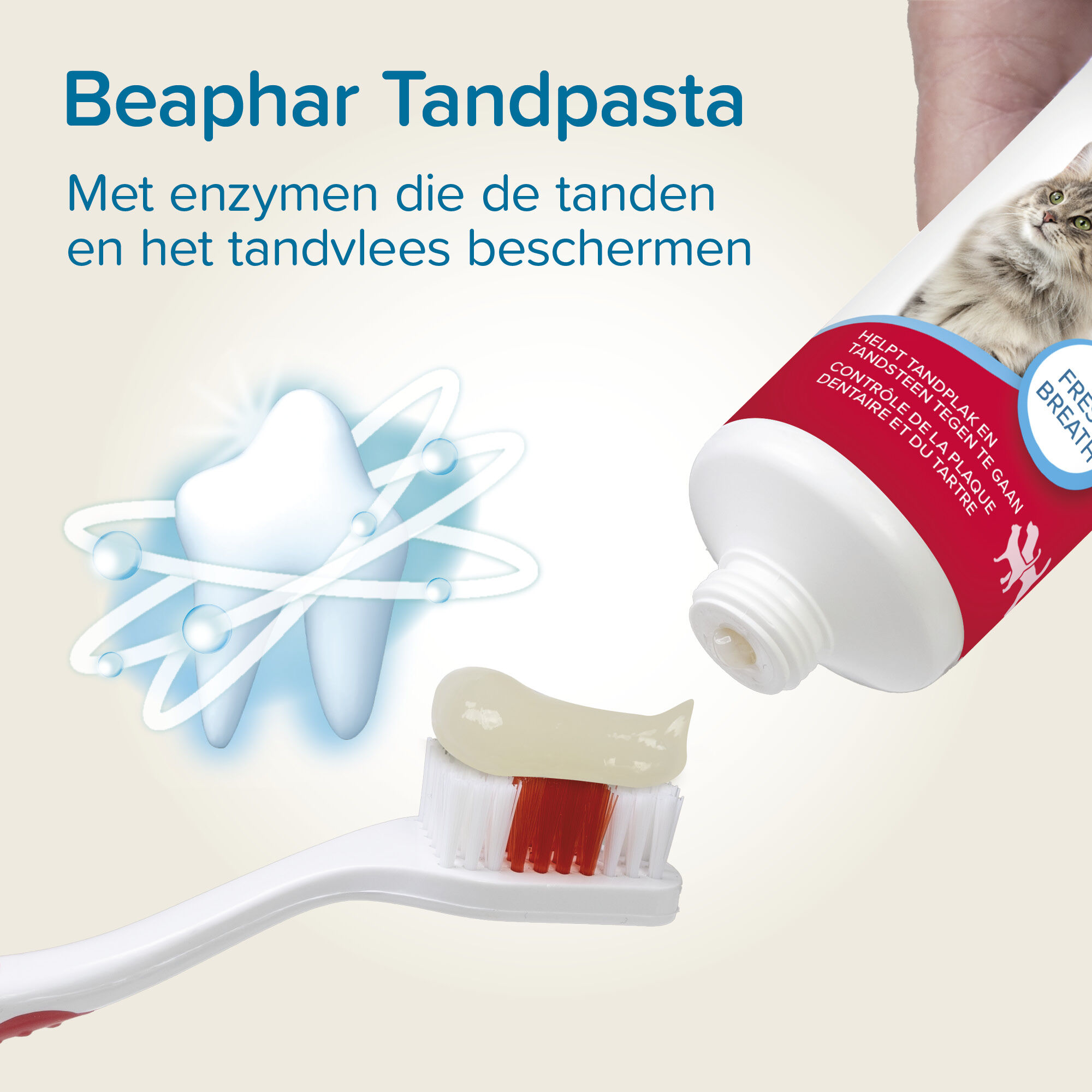Beaphar Tandpasta   Frisse Adem  - Gebitsverzorging - 100 Gram - Wit
