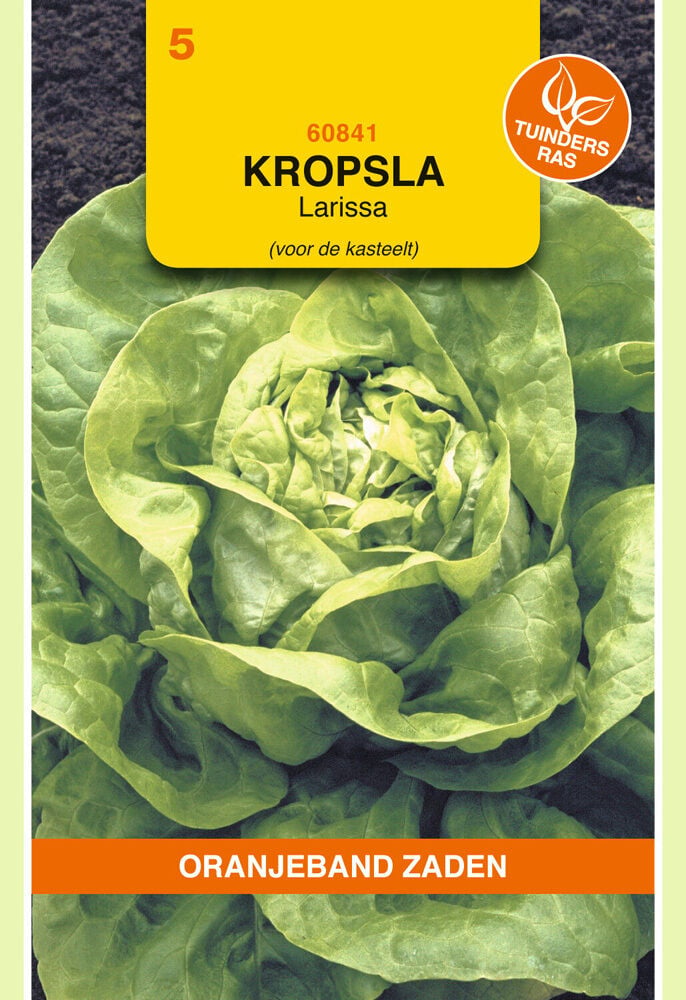 Oranjeband zaden Kropsla Larissa - Groentezaden