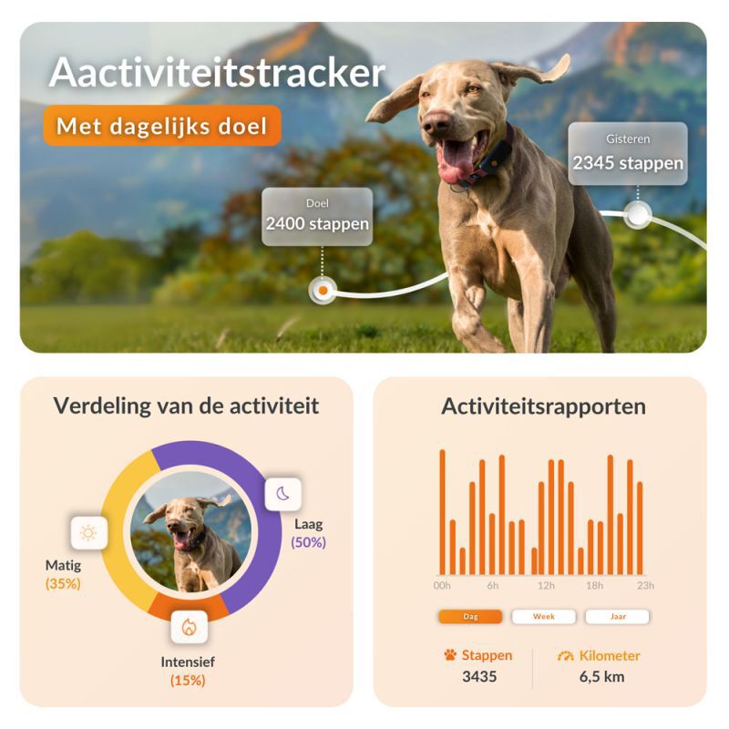 Weenect XT - Halsband met GPS tracker - Oranje