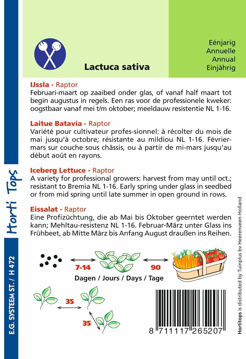 Hortitops Ijssla Lactuca sativa Raptor (vh Dublin) - Groentezaden