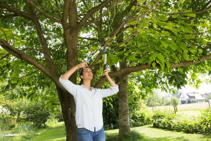 Gardena EasyCut 500 B - Takkenschaar