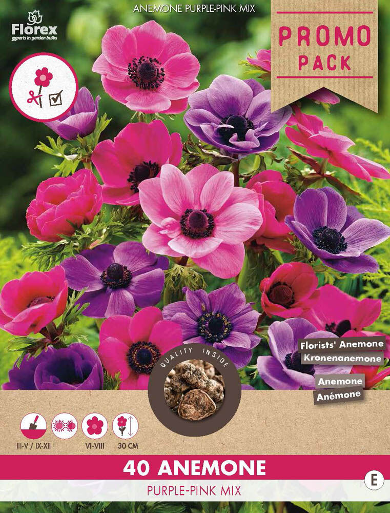 Florex Anemone Mix - Bloembollen Florex Anemone Mix - Bloembollen