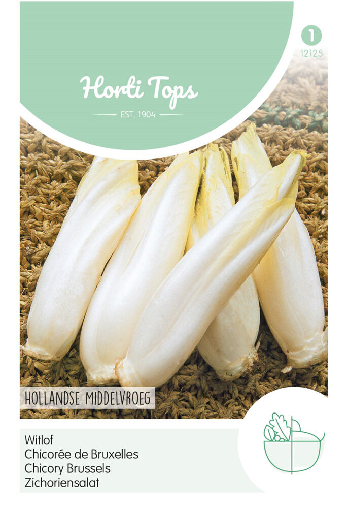 Hortitops Witlof Cichorium intybus Witlof Hollandse Middelvroeg - Edellof - Groentezaden