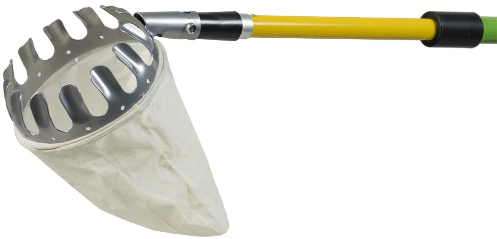 Welkoop  - Fruitplukker - Groene steel - 300 cm