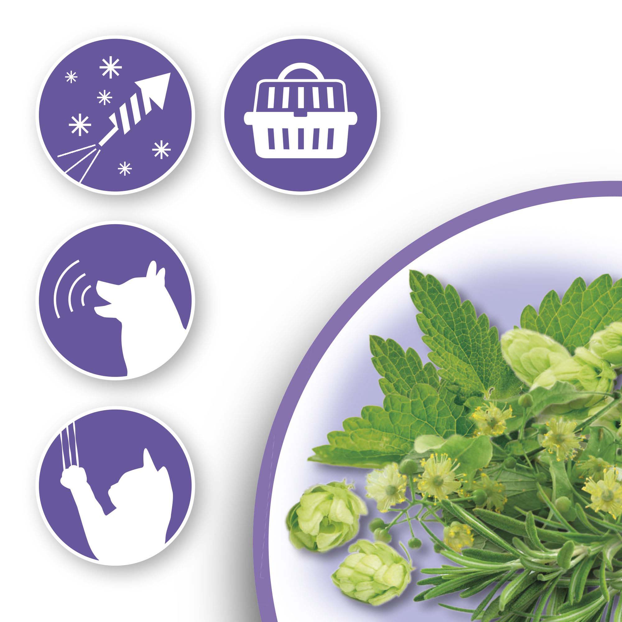 Beaphar No Stress- Tabletten - 20 Stuks