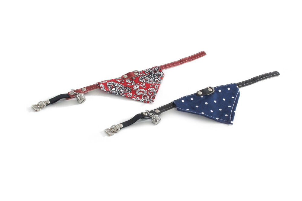 BEEZTEES met Bel en Doek - Kattenhalsbandje