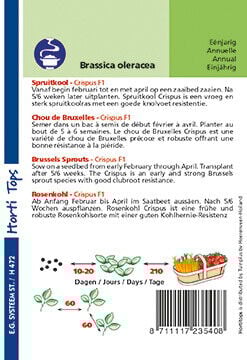 Hortitops Spruitkool Crispus F1 - Groentezaden