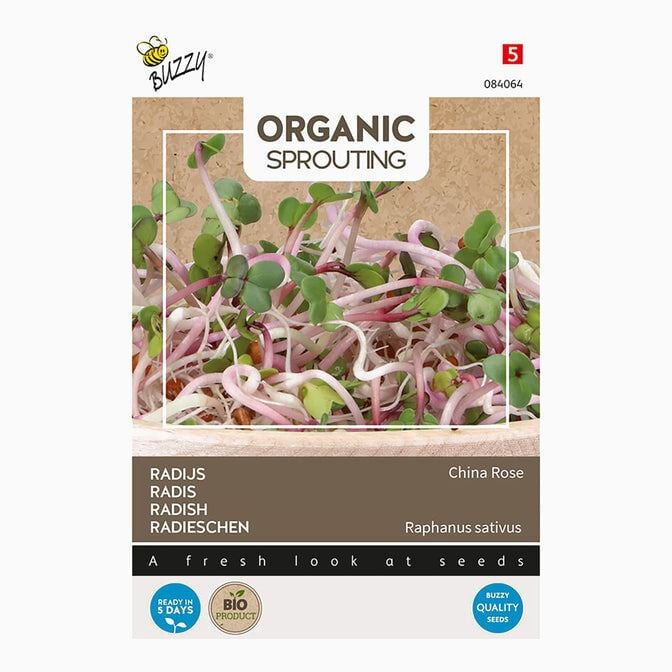 Buzzy® Organic Sprouting - Radijs China Rose Buzzy® Organic Sprouting - Radijs China Rose