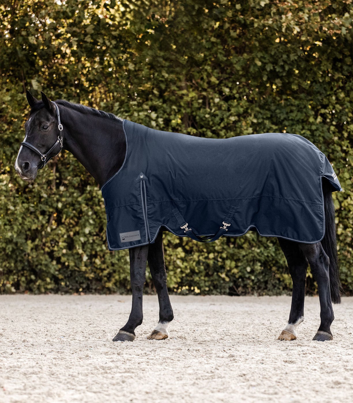 Waldhausen Arctic Hoge nek 200 gr - Winterdeken - Paardendeken - Blauw - 125/175 Waldhausen Arctic Hoge nek 200 gr - Winterdeken - Paardendeken - Blauw - 125/175