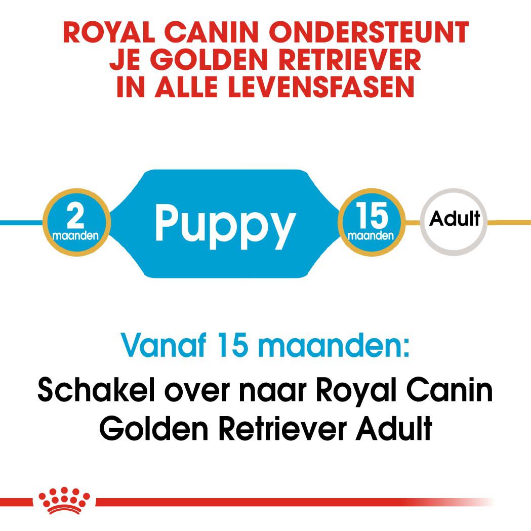 Royal Canin Golden Retriever Junior - Hondenvoer - 12 Kilogram - gevogelte