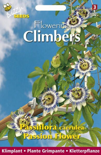 Buzzy Climbing Flowers Passiebloem Blauw - Bloemzaden