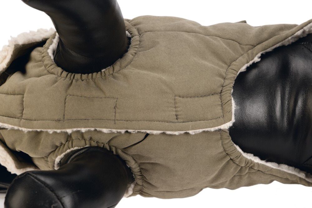 Designed by Lotte Philos - Hondenjas - groen - S/m